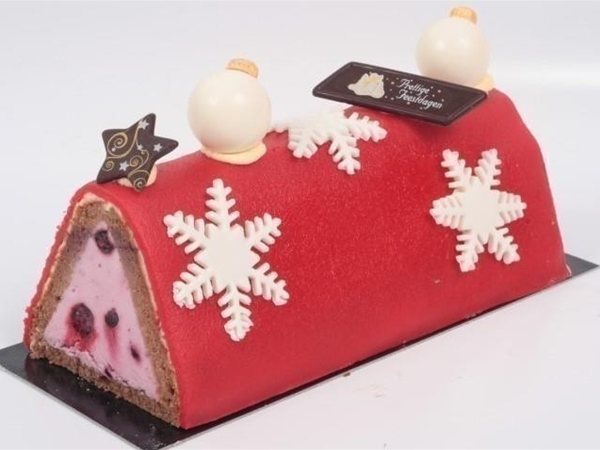 Yoghurt bosbessen buchet ± 5 personen